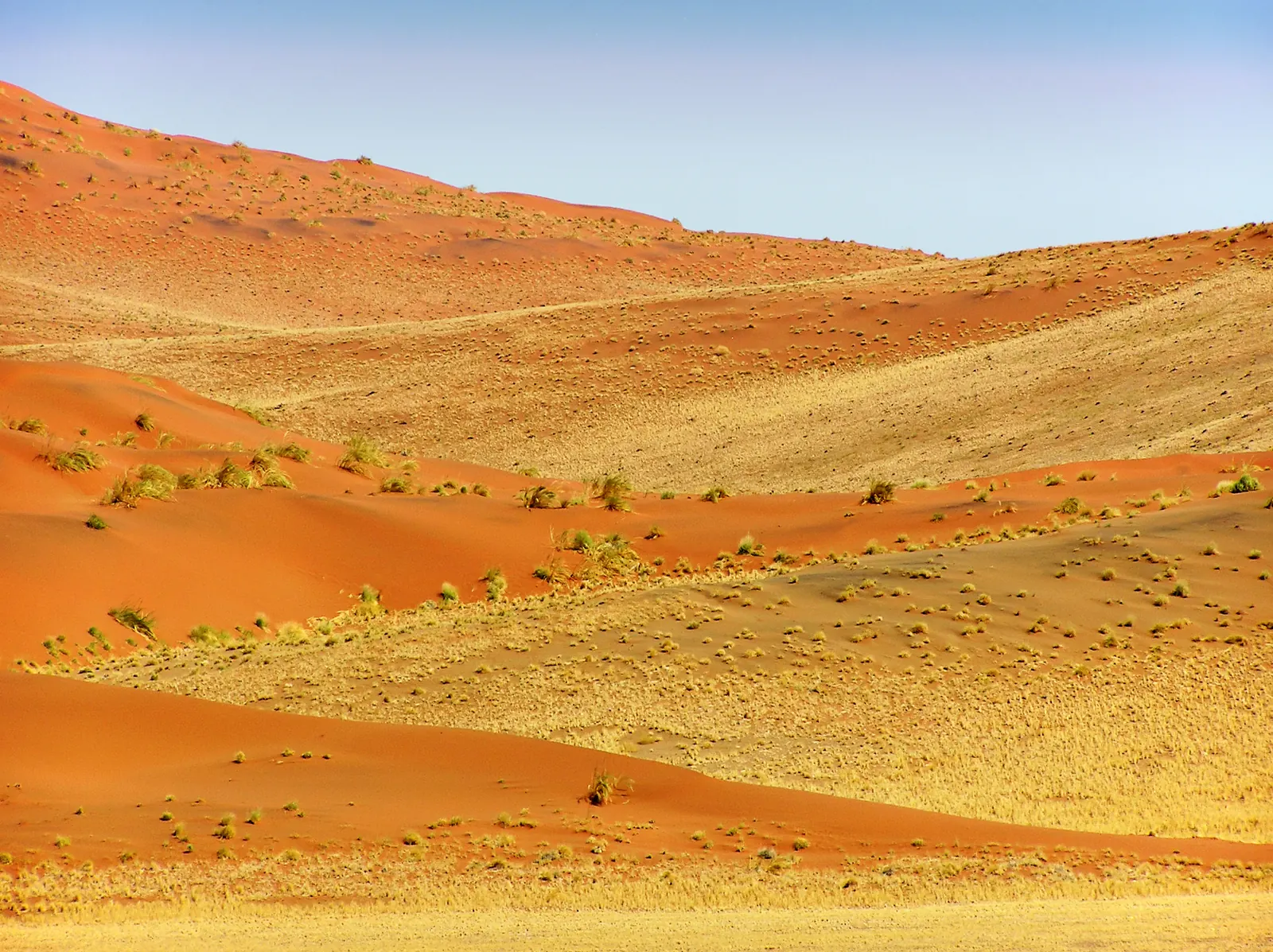 Les dunes de Sossusvlei dans le désert du Namib
