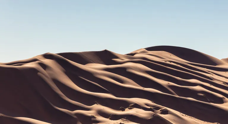 Les dunes et leurs ombres à Sossusvlei, en Namibie, photographiées en août 2018